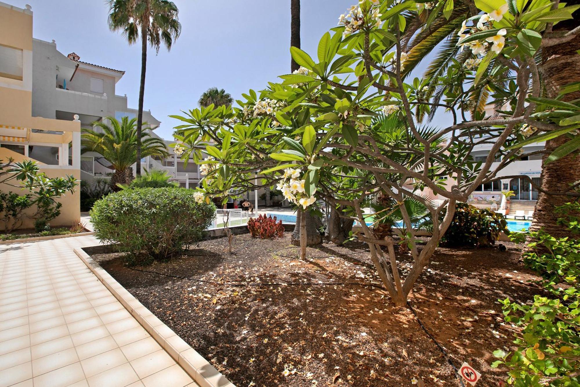 Breeze Island Apartment Chayofa Exterior photo